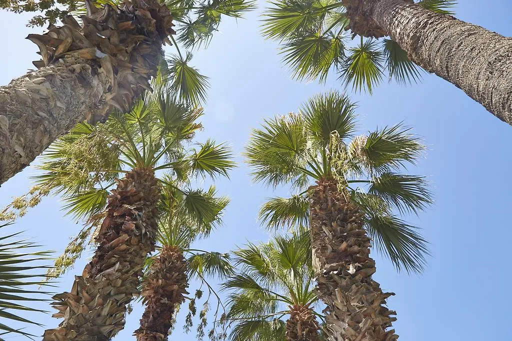 Meteor Beach Hotel Turgutreis