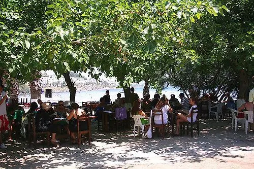 Meteor Beach Hotel Turgutreis 4*,  Türkiye